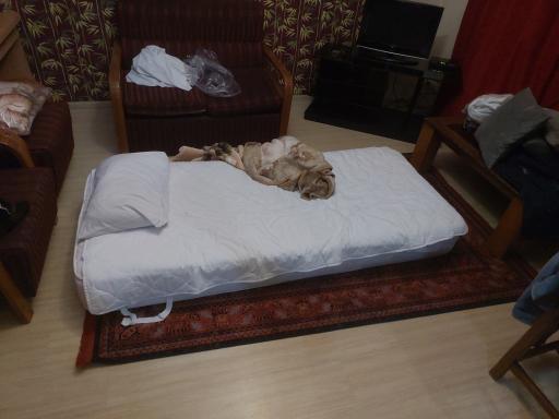 عکس هتل تاوریژ