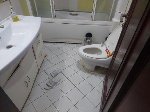 عکس هتل تاوریژ