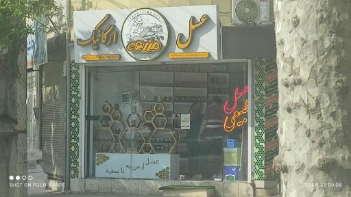 عسل ارگانیک مزرعه 