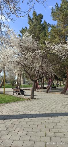 عکس بوستان ساعت