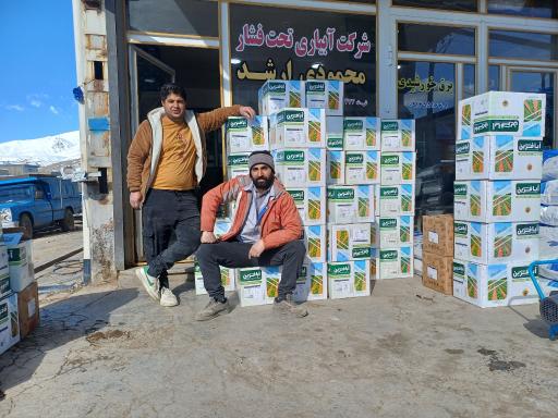 عکس آبیاری تحت فشار محمودی ارشد
