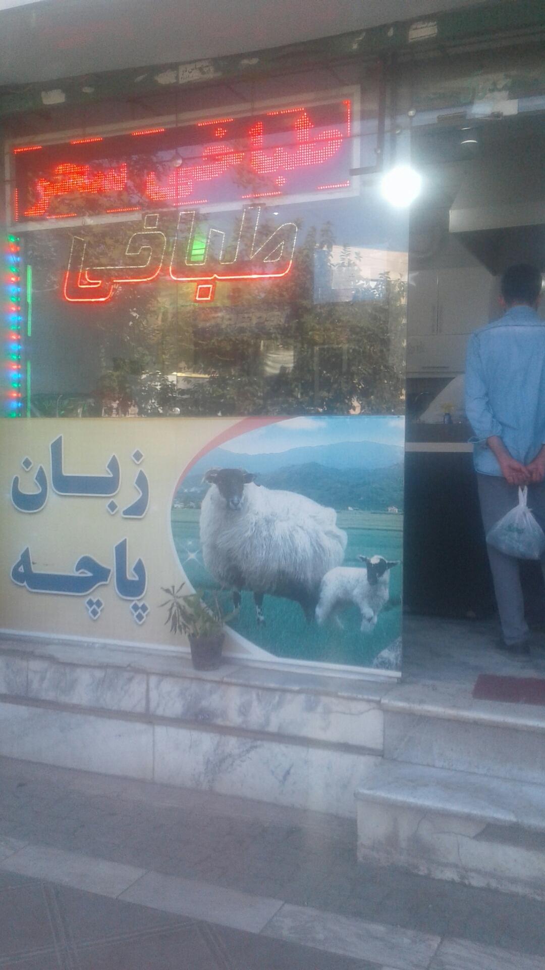 عکس طباخی سحر