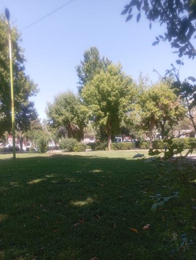 عکس بوستان ساعت