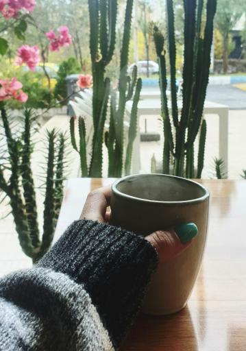 عکس کافی شاپ ملون