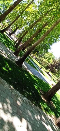 عکس بوستان ساعت