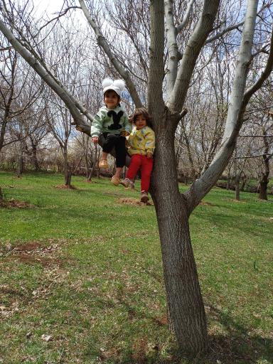 عکس عینجیک