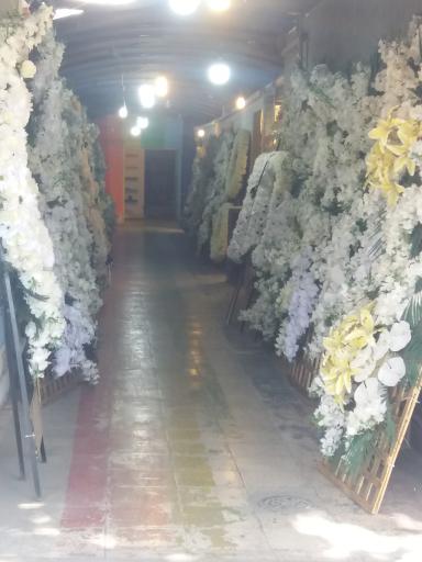 عکس تشریفات گلستان علی