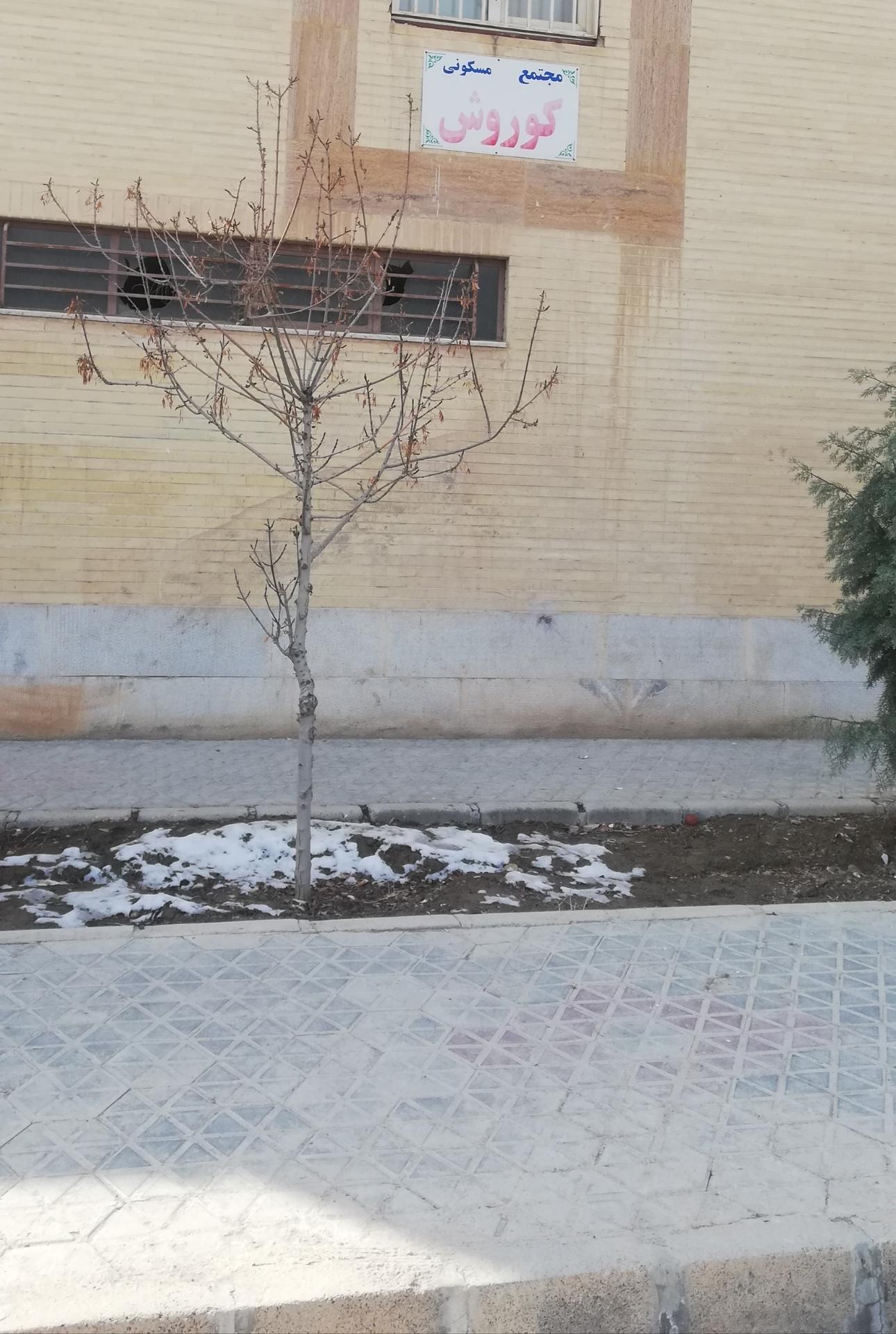 عکس مجتمع مسکونی کوروش