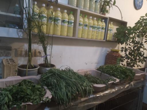 عکس سبزی خردکنی محمدی