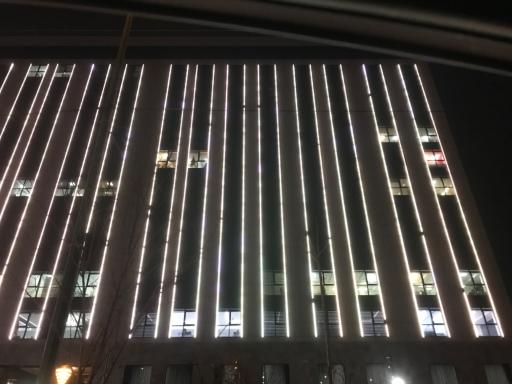 عکس برج رونیکا پالاس