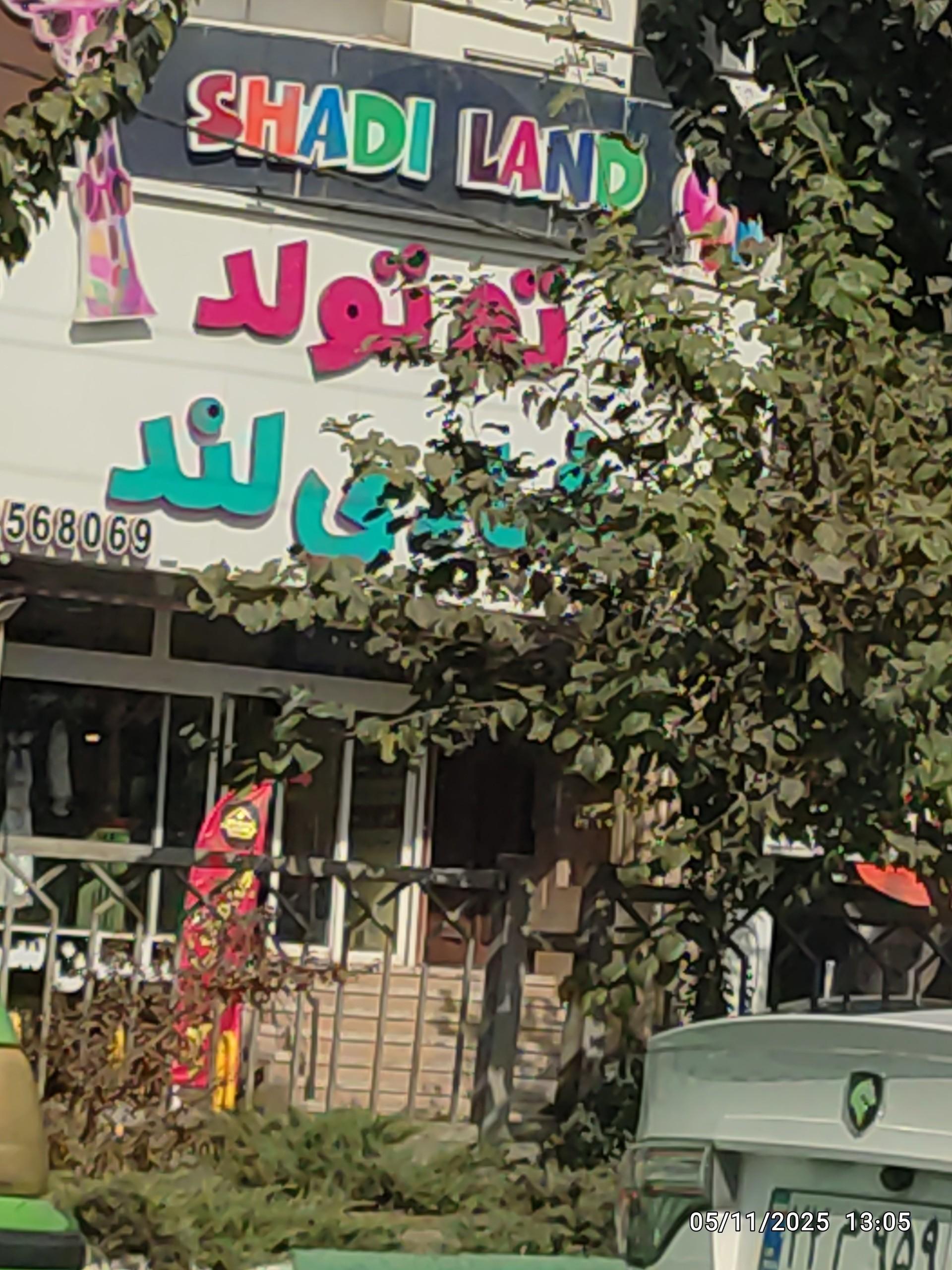 عکس تیم تولد لند