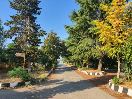 عکس شهرک ساحلی مهرکده