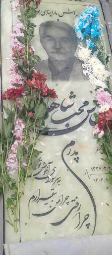 عکس مزار عباس محب شاهدین