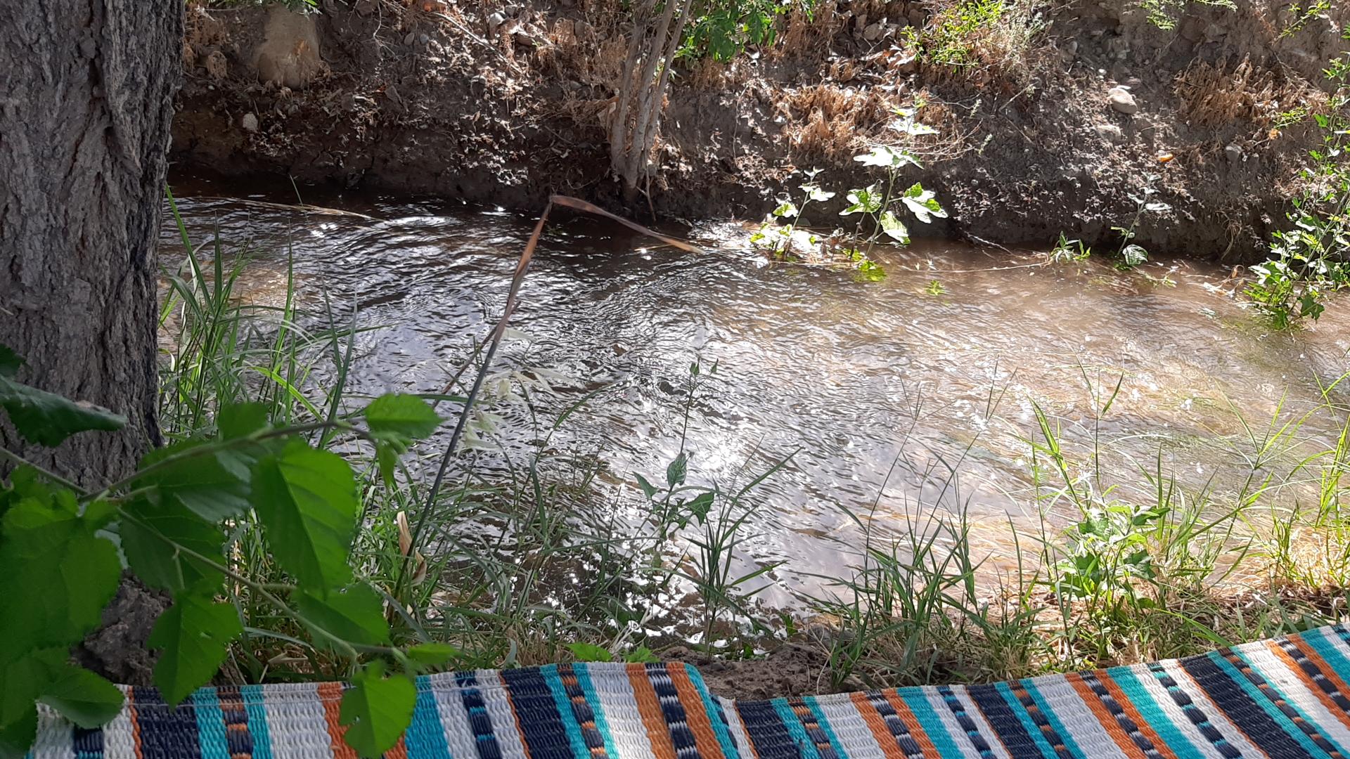 عکس پارک نیایش