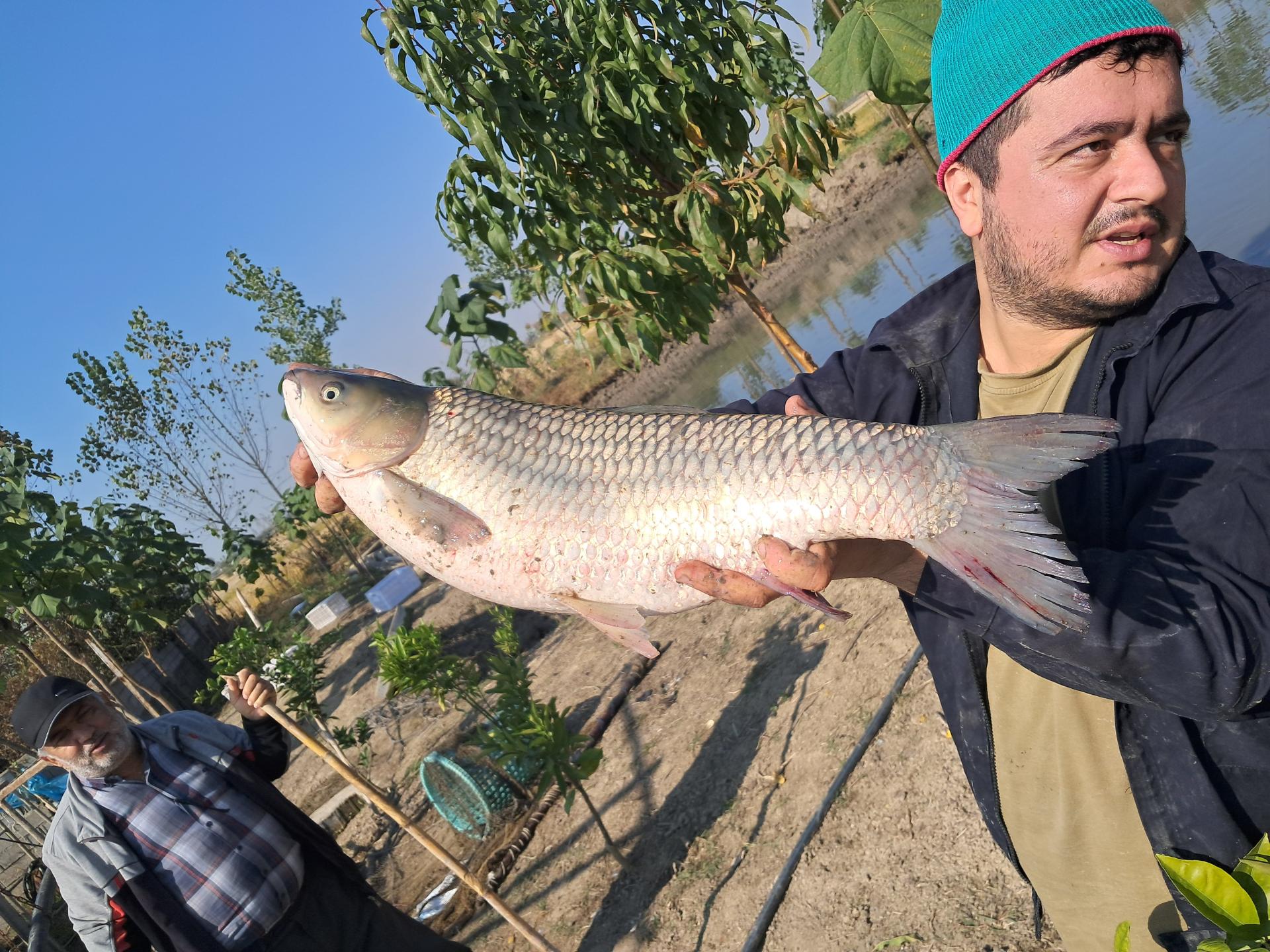 عکس پرورش ماهی قزل الا نیرماهی