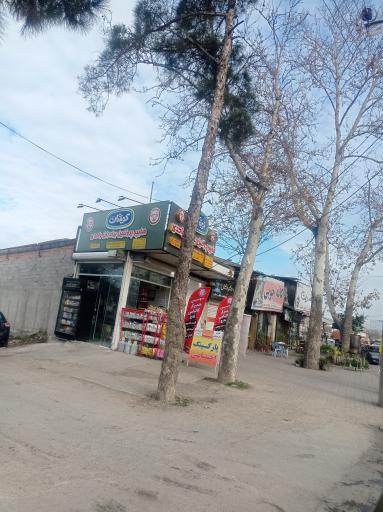 عکس هایپر پروتئین برادران واحدی 