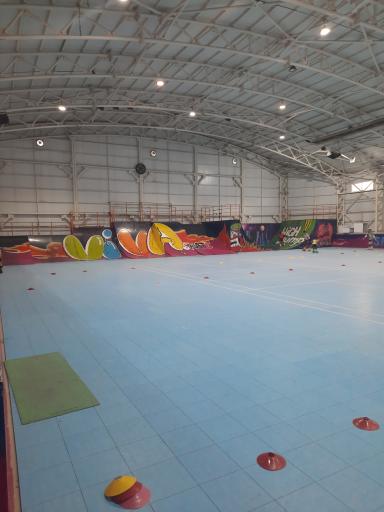 عکس سالن اسکیت ویوا