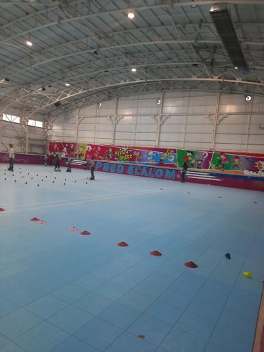 عکس سالن اسکیت ویوا