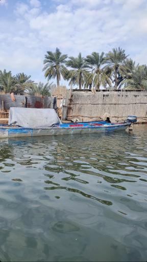عکس رگبه