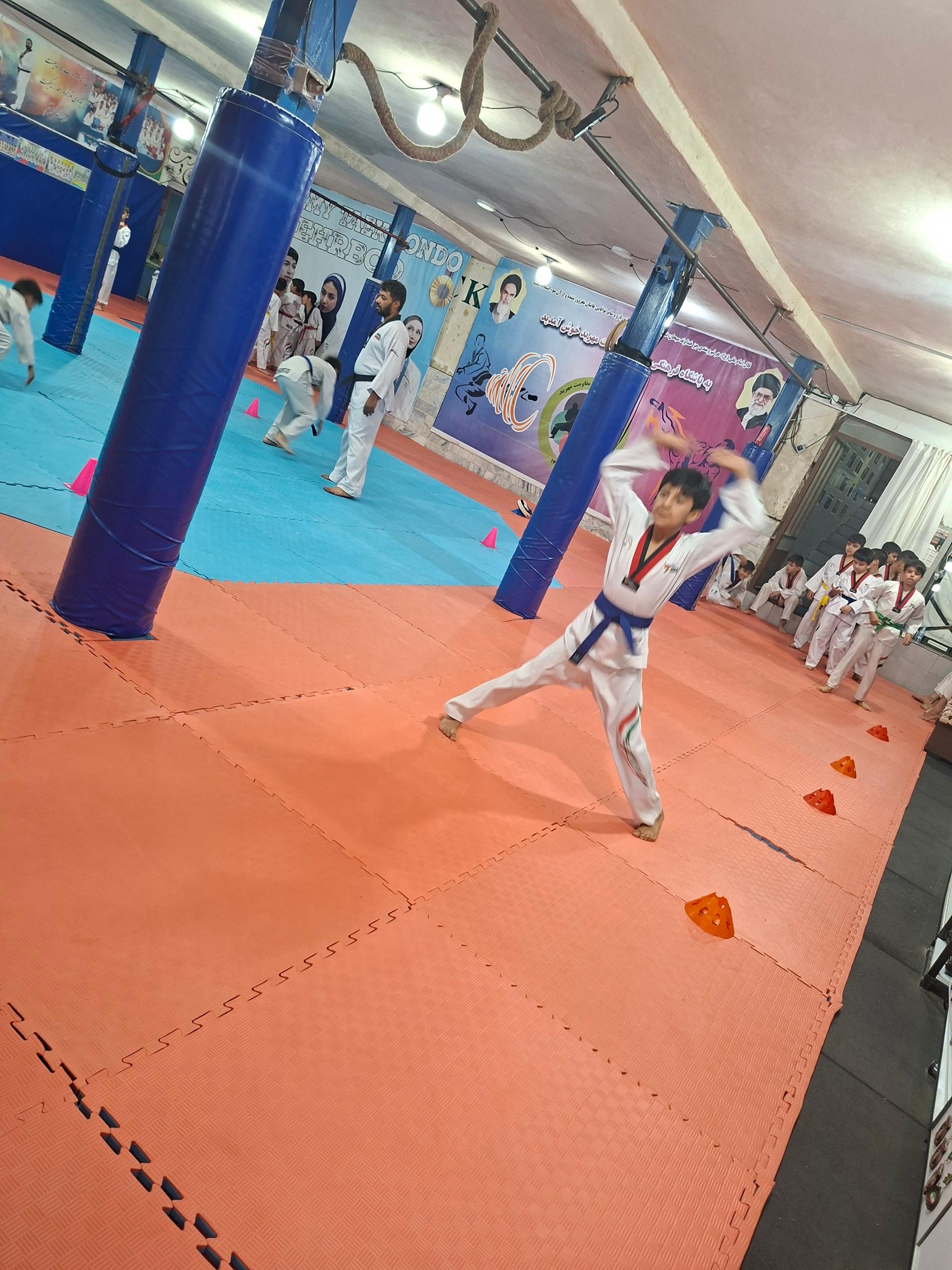 عکس آکادمی تکواندو مهربد