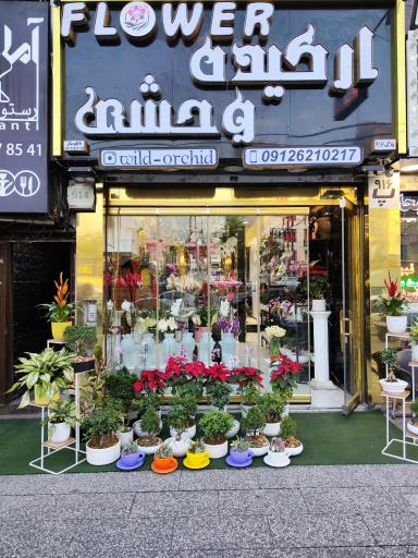 عکس گل فروشی ارکیده وحشی