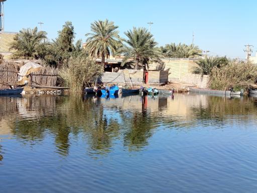عکس رگبه