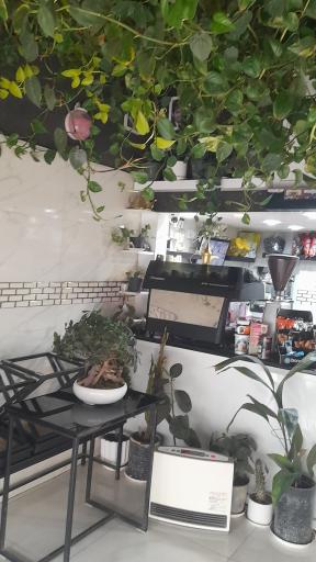 عکس قهوه سیاه