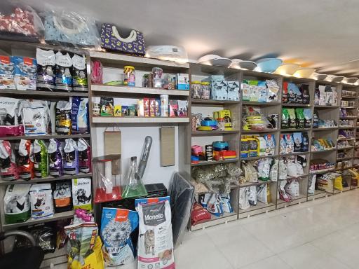 عکس کلینیک دامپزشکی هما