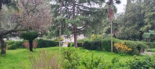 عکس پارک ملت