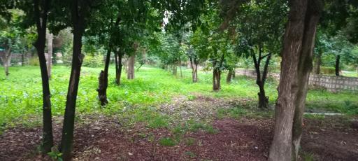 عکس پارک ملت