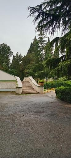 عکس پارک ملت