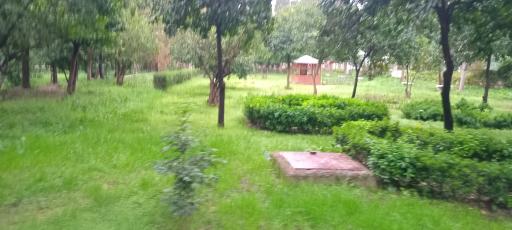 عکس پارک ملت