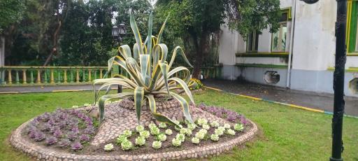 عکس پارک ملت