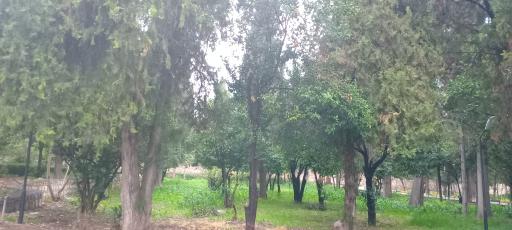 عکس پارک ملت