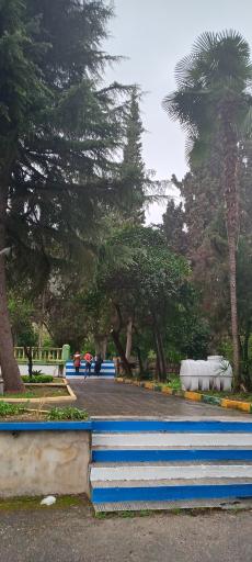 عکس پارک ملت