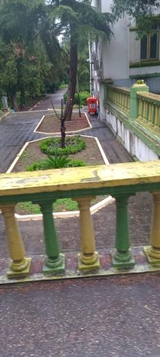 عکس پارک ملت