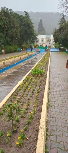 عکس پارک ملت