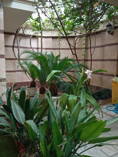 عکس مرکز مشاوره پایا