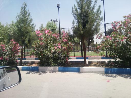 عکس بوستان نشاط