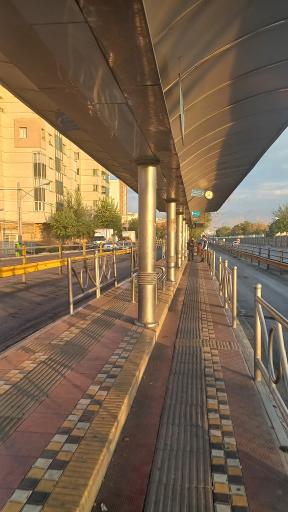 عکس قالیشویی