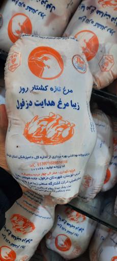 عکس سوپر پروتئین سجاد