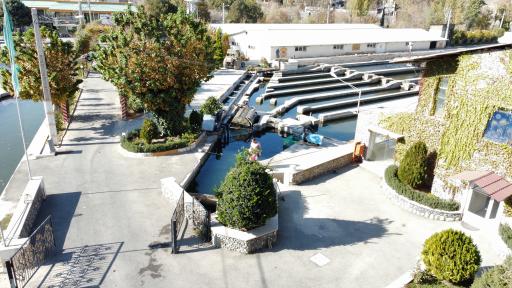 شرکت البرز کاسپین (ماهیسرای کرج)