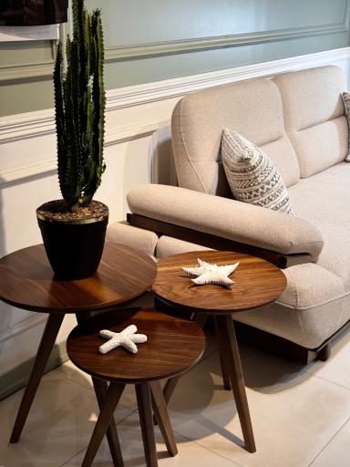 عکس مبلمان راحتی مدرن الیزه هوم