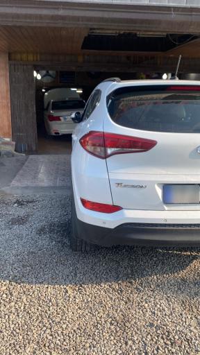 عکس عادل سرویس 