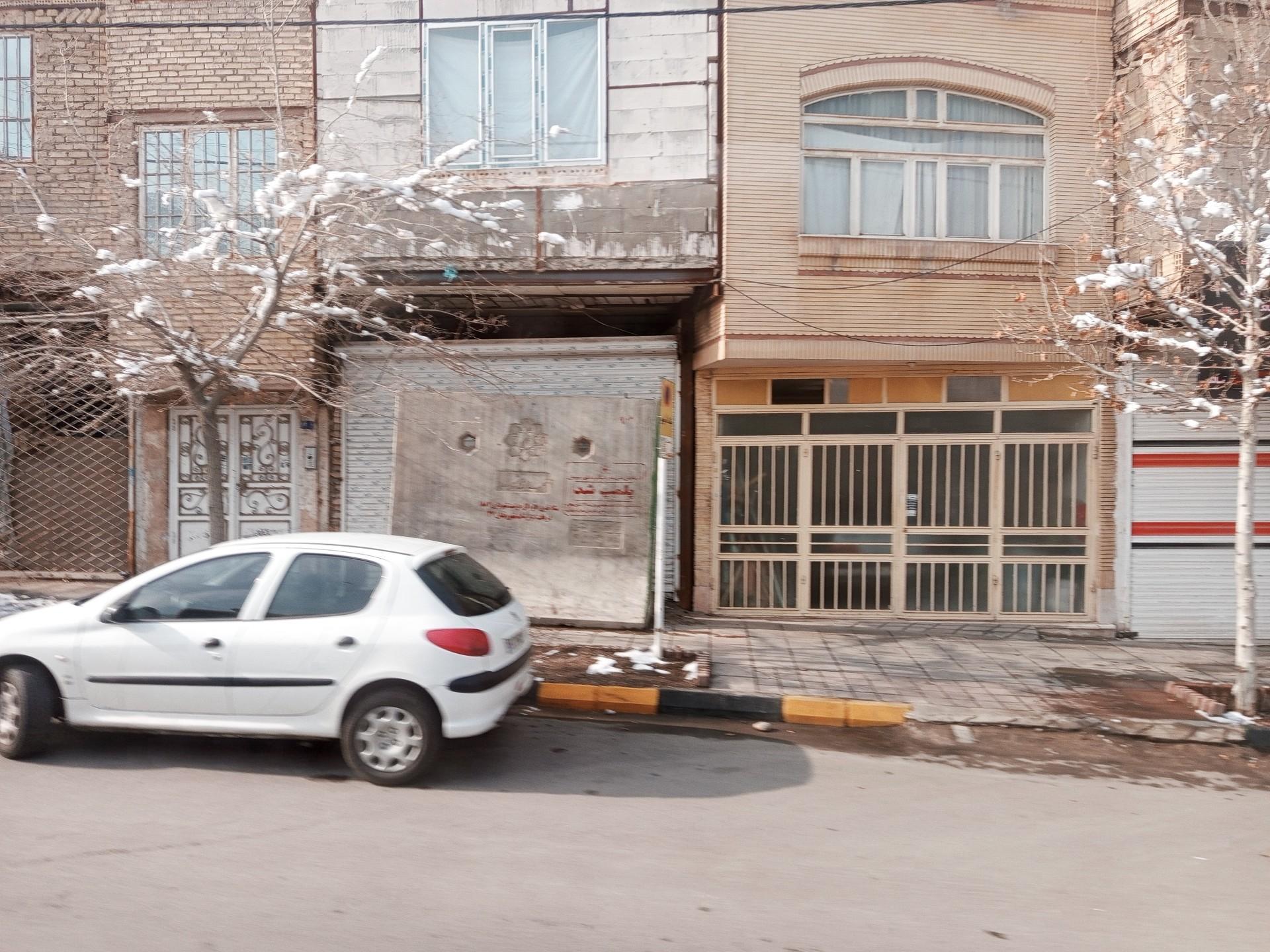 عکس  نخل 3