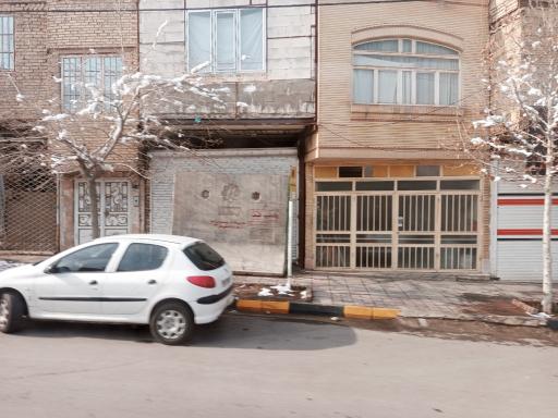 عکس  نخل 3