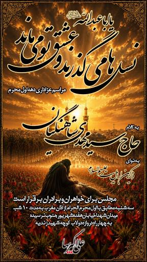 عکس هیئت عزاداران حسینی متوسلین به حضرت علی اکبر