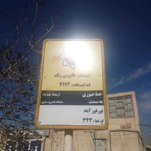 عکس طاووس رنگ