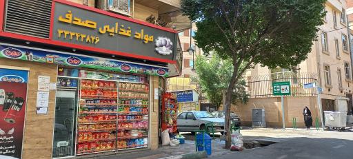 مواد غذایی صدف
