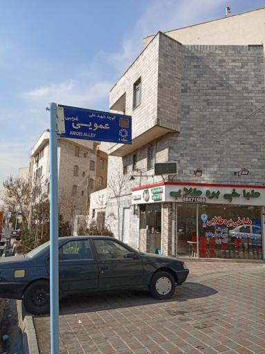 عکس طباخی بره طلایی